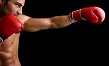 Bio_boxe_-_314x130