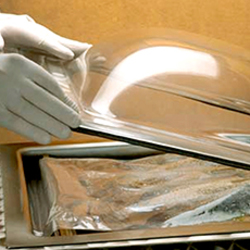 Cocina al Vacío
