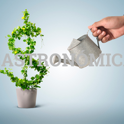 Competitividad y Rentabilidad en la Empresa Gastronómica