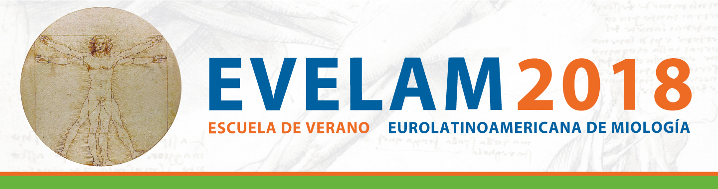 Cabecera 1440 x 380 %281%29