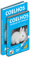 Curso Coelhos T�cnicas de Cria��o