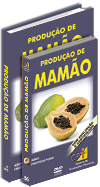 Curso Produ��o de Mam�o