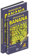 Curso Produ��o de Banana