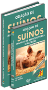 Curso Cria��o de Su�nos - Manejo de Reprodutores e Matrizes