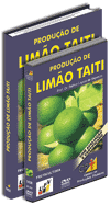 Curso Produ��o de Lim�o Taiti