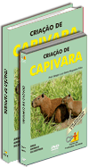 Curso Cria��o de Capivara