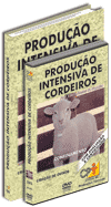 Curso Produ��o Intensiva de Cordeiros