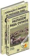 Curso Forma��o e Manejo de Pastagem para Ovinos