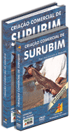 Curso Cria��o Comercial de Surubim