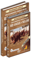 Curso Cruzamento Industrial Red Angus X  Nelore