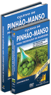 Curso Cultivo de Pinh�o-Manso para Produ��o de Biodiesel