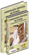 Curso Insemina��o Artificial em Ovinos Convencional e em Tempo Fixo