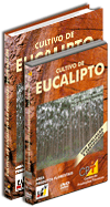 Curso Cultivo de Eucalipto em Pequenas Propriedades
