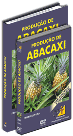 Curso CPT: Curso Produ��o de Abacaxi