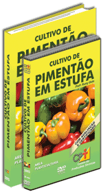 Curso CPT: Curso Cultivo de Piment�o em Estufa