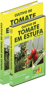 Curso CPT: Curso Cultivo de Tomate em Estufa