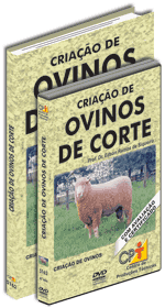 Curso CPT: Curso Cria��o de Ovinos de Corte