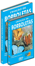 Curso CPT: Curso Cria��o de Borboletas
