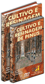 Curso CPT: Curso Cultivo e Resinagem de Pinus