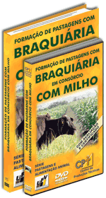 Curso CPT: Curso Forma��o de Pastagens com Braqui�ria em Cons�rcio com Milho