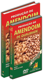 Curso CPT: Curso Produ��o de Amendoim de Qualidade