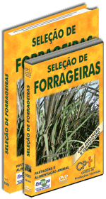 Curso CPT: Curso Sele��o de Forrageiras