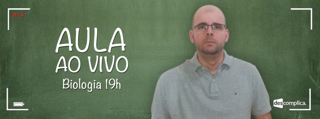 Banner-Blog-1349x504px-Fabricio-19h