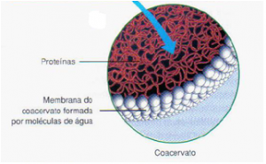 Como ocorreu a origem da vida?