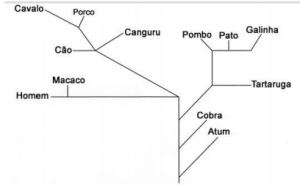 desconversa.com.br wp content uploads 2015 03 Listadeexercicios biologia origem vida conceitos basicos evolucao 23 03 2015.pdf