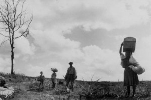 Adaptação cinematográfica da obra "Vidas Secas", por Nelson Pereira dos Santos (1963).