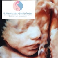 Roberto Arturo Castillo Reyther Roberto Arturo Castillo Reyther
