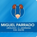 Miguel Parrado Avendaño