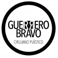Camilo Guerrero Bravo