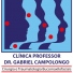 Prof. Gabriel Campolongo
