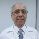 Dr. Leo Herman Werdesheim