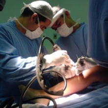 Flávio de Figueiredo Bezerra, Ortopedista - Traumatologista Manaus