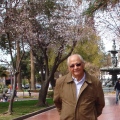 Sebastião Salim