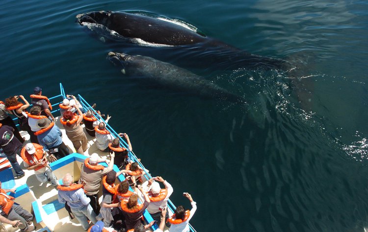 Open uri20150504 35738 1xmaqqv?1430783068