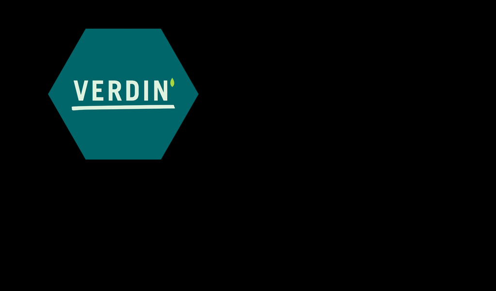 Verdin – Ipanema