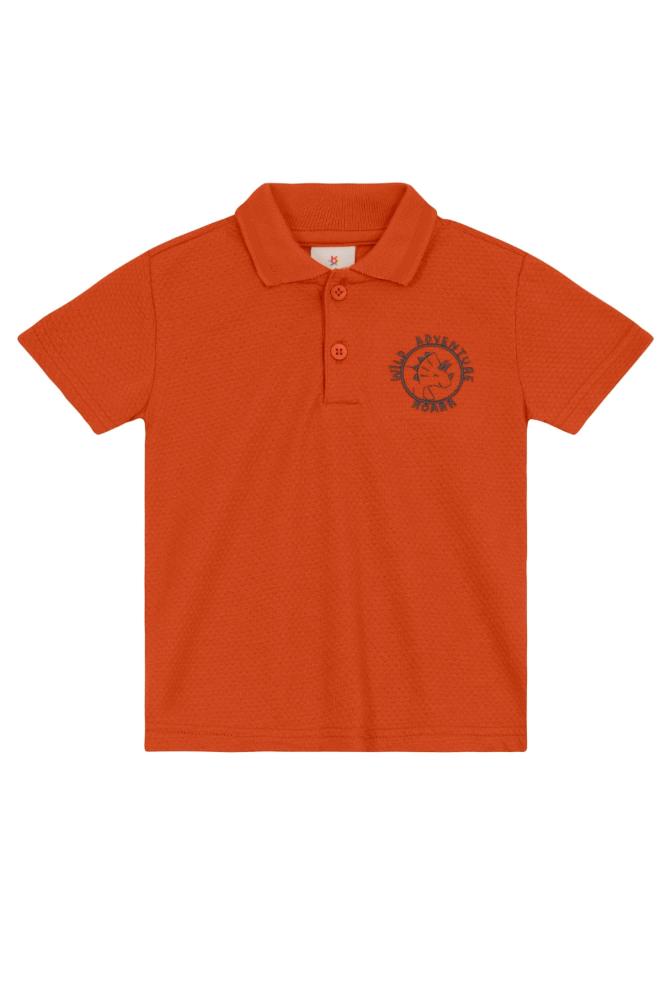 Camisa polo infantil menino com bordado Brandili