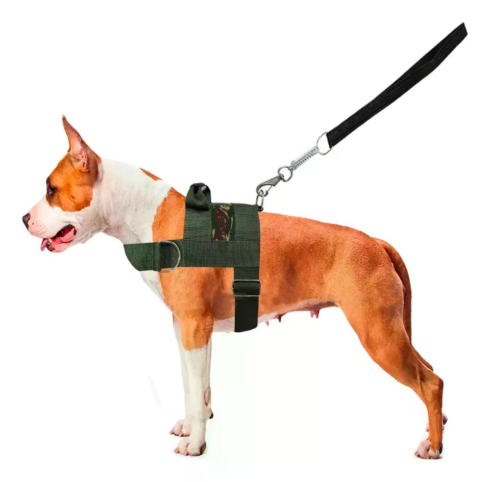 Peitoral Coleira + Guia Cachorro Caes Grandes E Medios