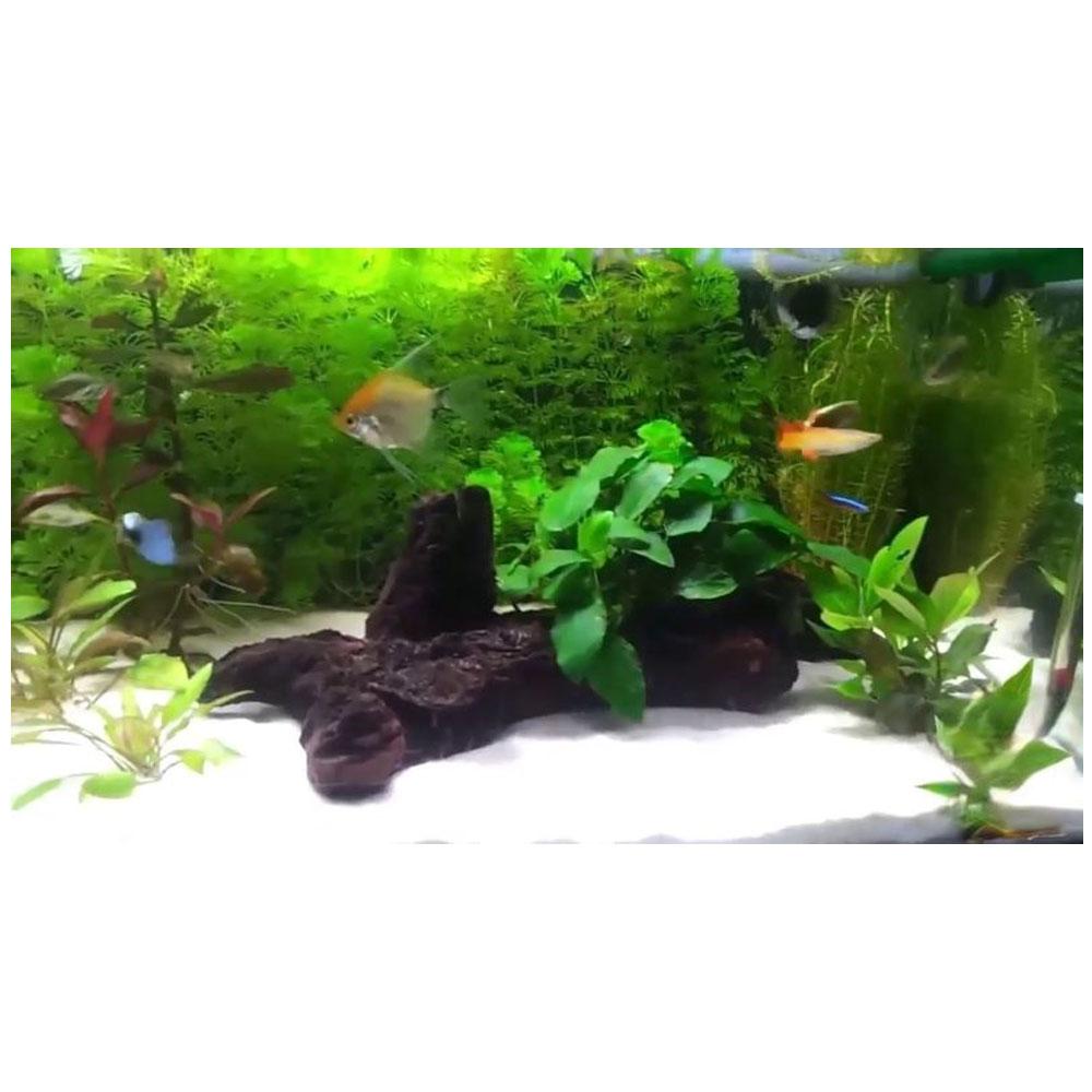 Aqua Pedras Cascalho Rio 00 Areia Duna 1KG