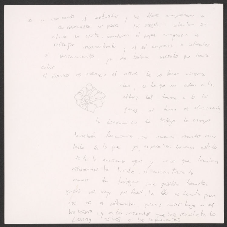 Notas de Irene Kopelman.