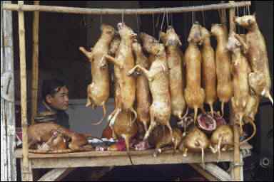 carne-de-cahorro