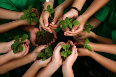 mãos de crianças segurando mudas de plantas