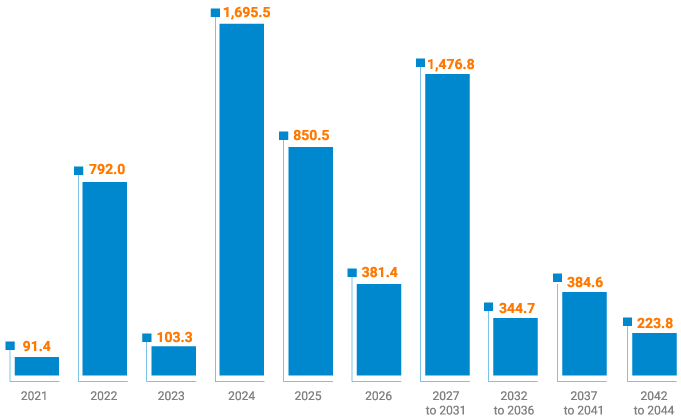 Gross Debt Amortization Schedule
(BRL million)