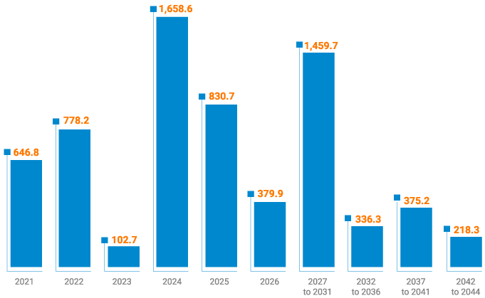 Gross Debt Amortization Schedule
(BRL million)