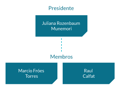 Comitê para Avaliação de Transações com Partes Relacionadas: Juliana Rozenbaum Munemori (Presidente) e Raul Calfat;