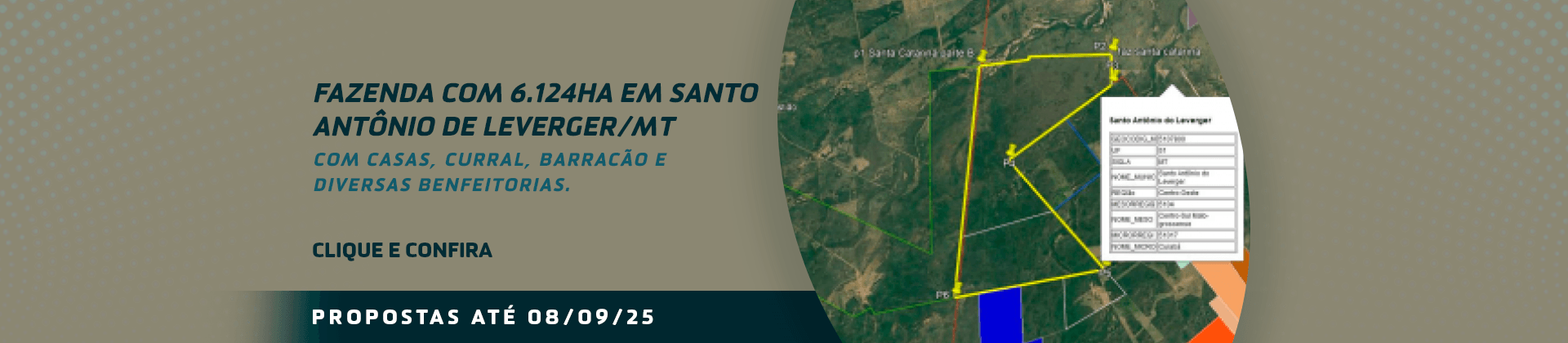 https://cidafixerleiloes.com.br/leilao/index/leilao_id/24326/lote/82235