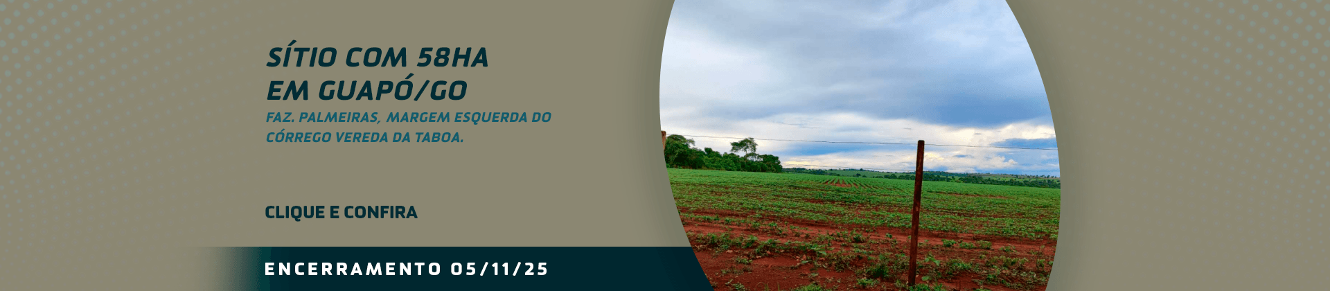 https://www.leiloesjudiciais.com.br/lote/30114/99172